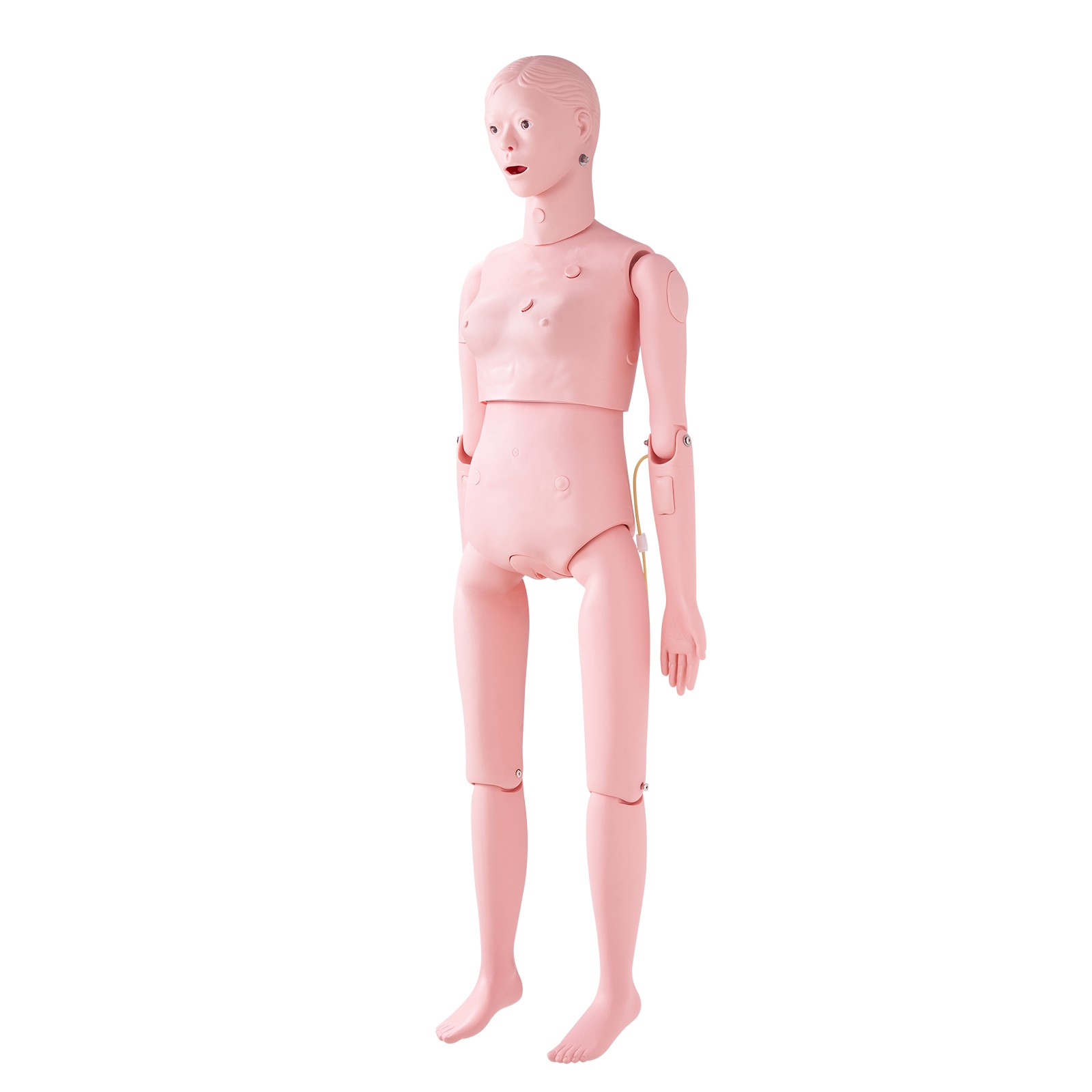 VEVOR Female Manikin Model Anatomical Nursing Training Patient Care Practice