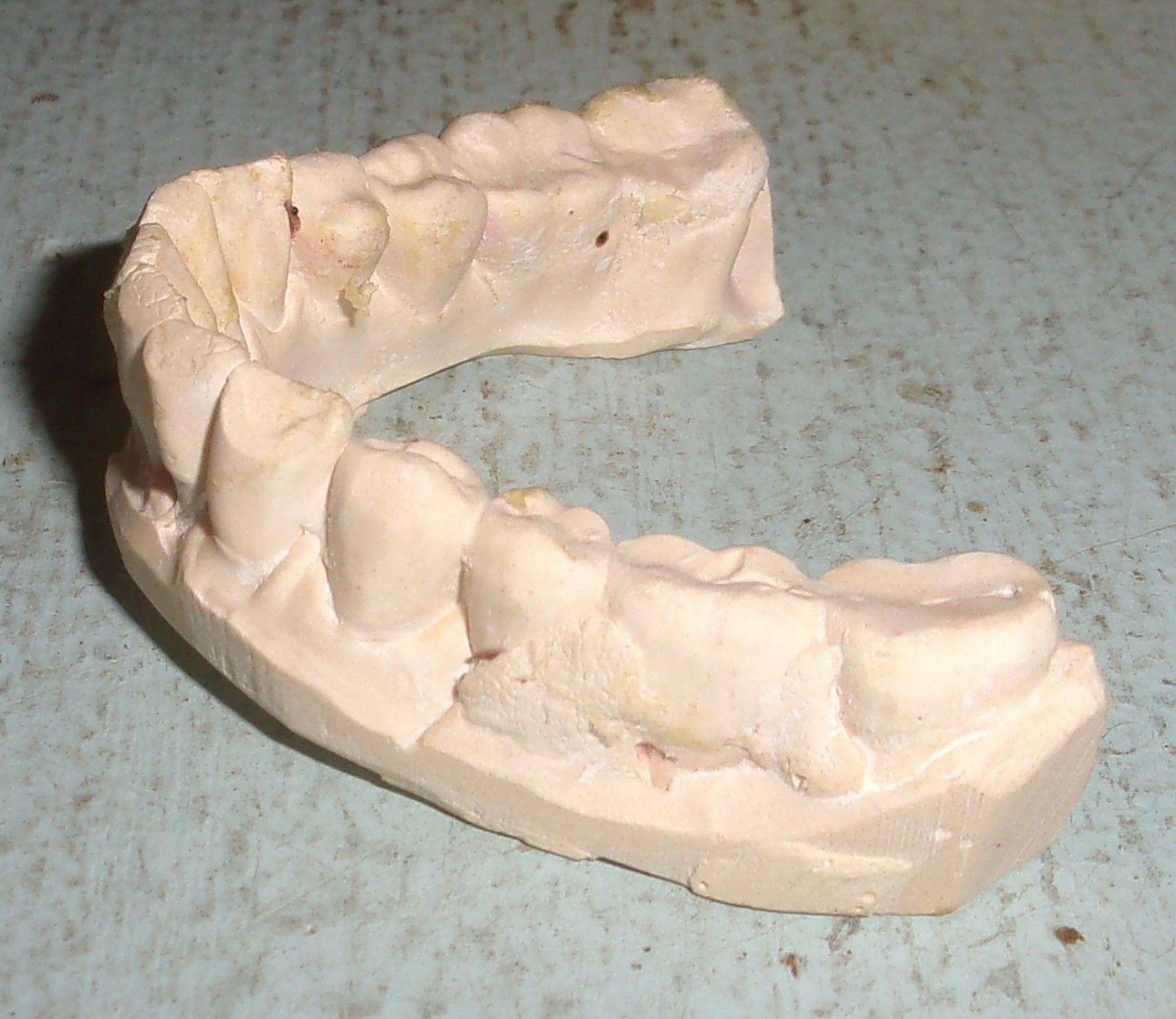Plaster Lower Jaw Denture Cast for False Teeth Prop Creepy Decor