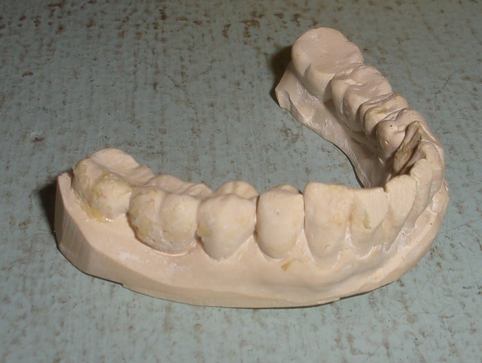Plaster Lower Jaw Denture Cast for False Teeth Prop Creepy Decor