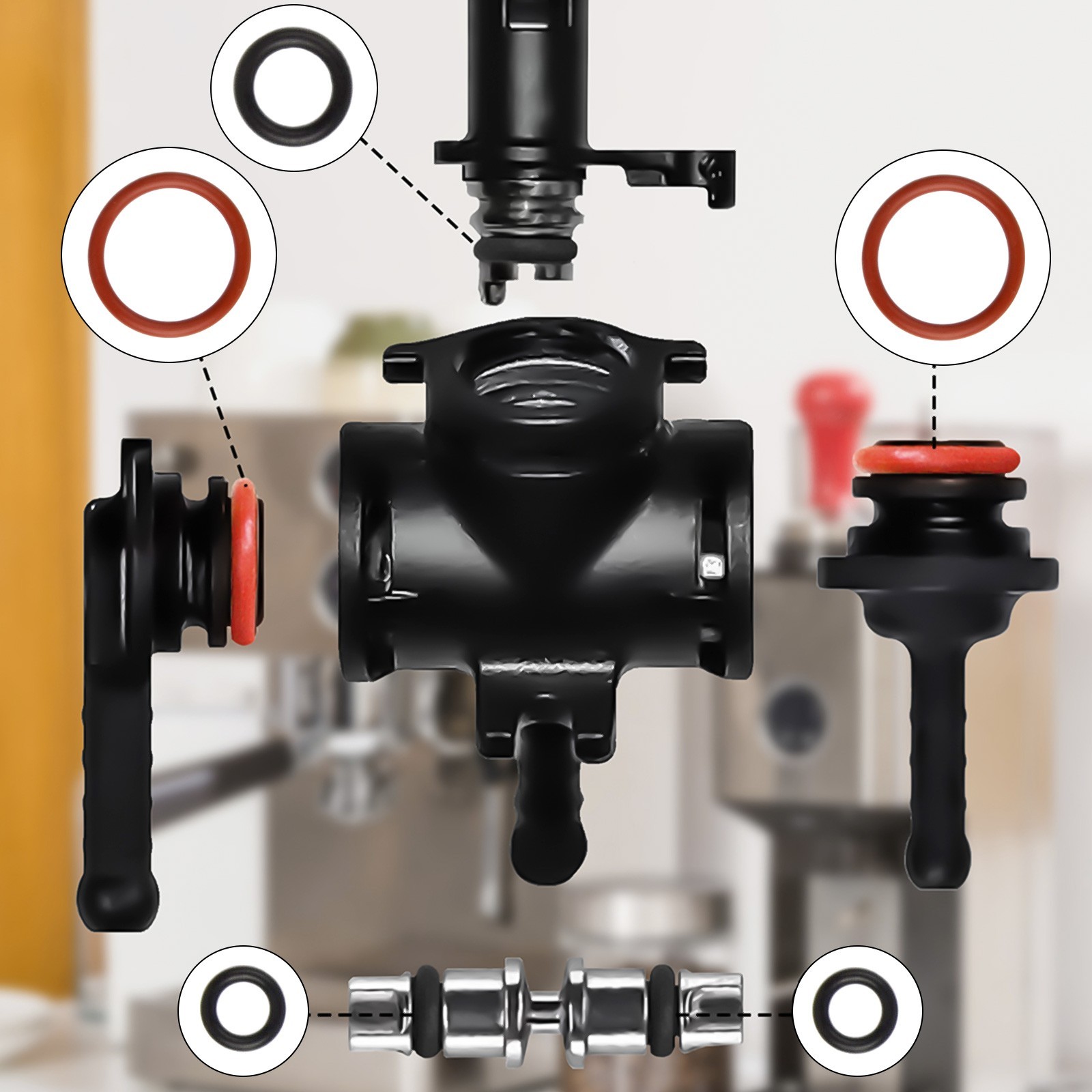 High Performance O Rings for SAECO Coffee Machine Sealing Applications