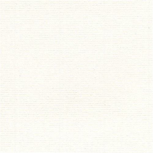 Fox River Select 25 Writing Arctic White Laid 24# #10 Envelope 500/pack
