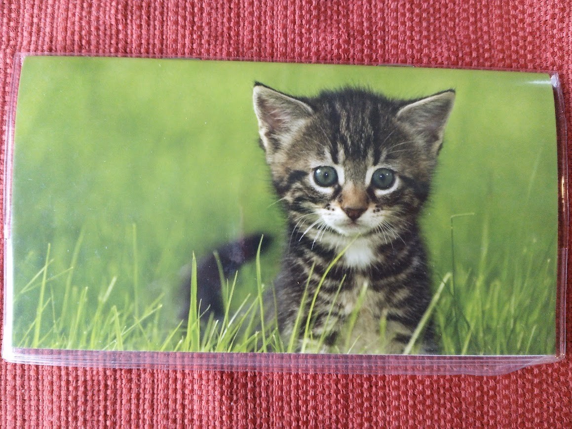 Cats, Dogs, or Butterfly Pocket Calendars 2026-2027 2-Year Pocket Planner