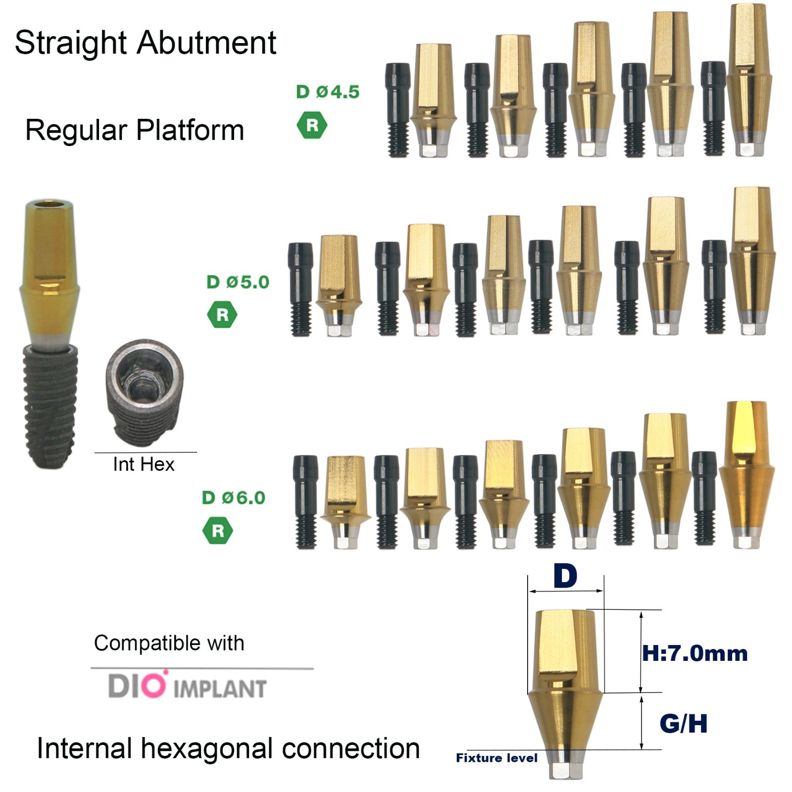 Dental DIO UFII Regular Straight Healing Abutment Impression Coping Zest locator