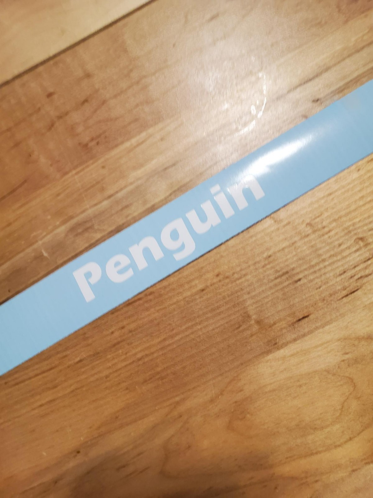 Penguin decals stickers rv nickname camper (2) PAIR Gloss WHITE 8″ FAST USA