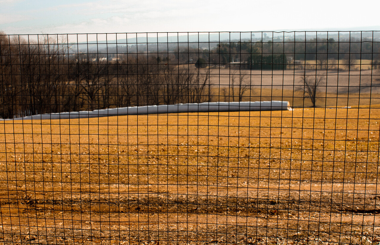 4’x100′ 16ga. Galv Steel Black PVC Coated Welded Wire 2”x2” Mesh Fence Roll