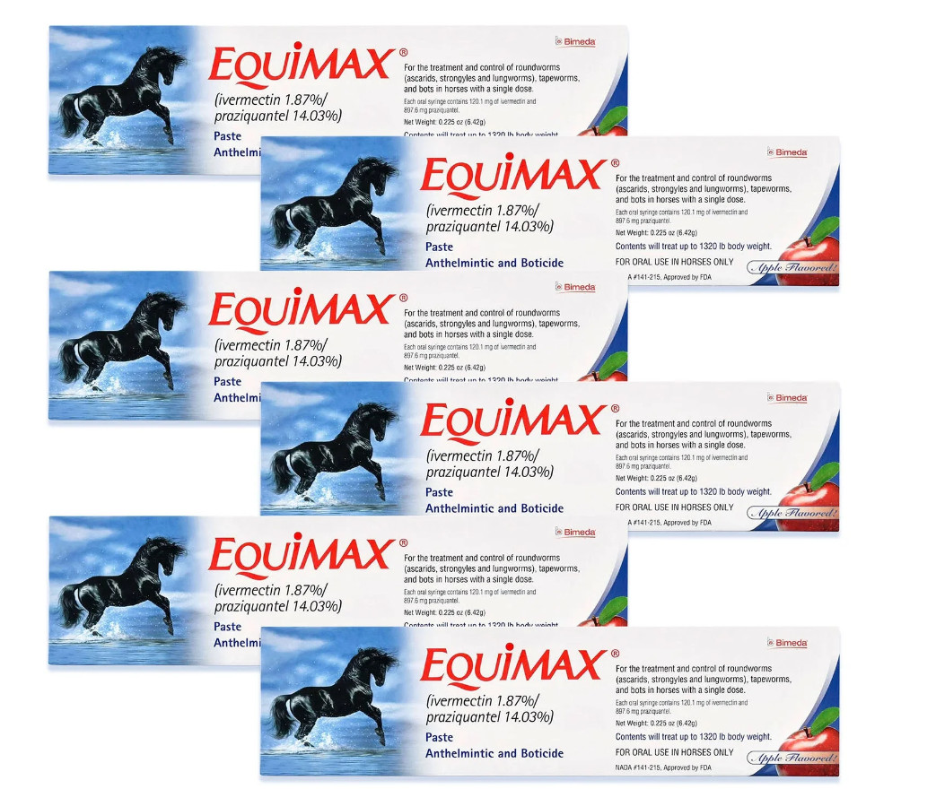 Equimax Oral Paste For Horses, 6.42gm Apple Flavor 6 Pack – Date exp up 2028 +