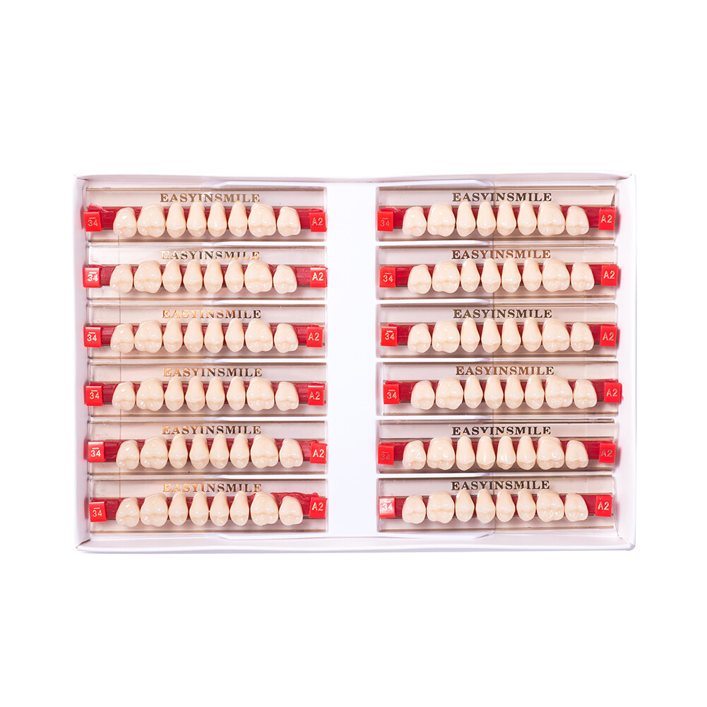 Dental Resin Teeth Synthetic Acrylic False Teeth Big Size Shape A1 A2 A3