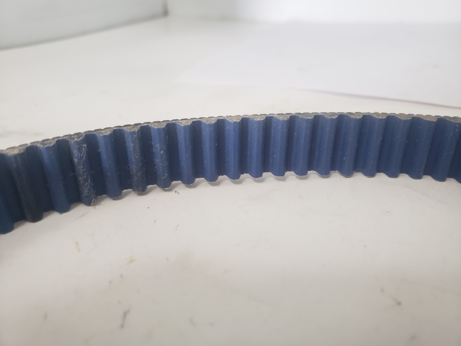 GATES 8MGT-1600-21 POLY CHAIN BELT 8mm PITCH 21mm WIDTH 200 TEETH, NNB