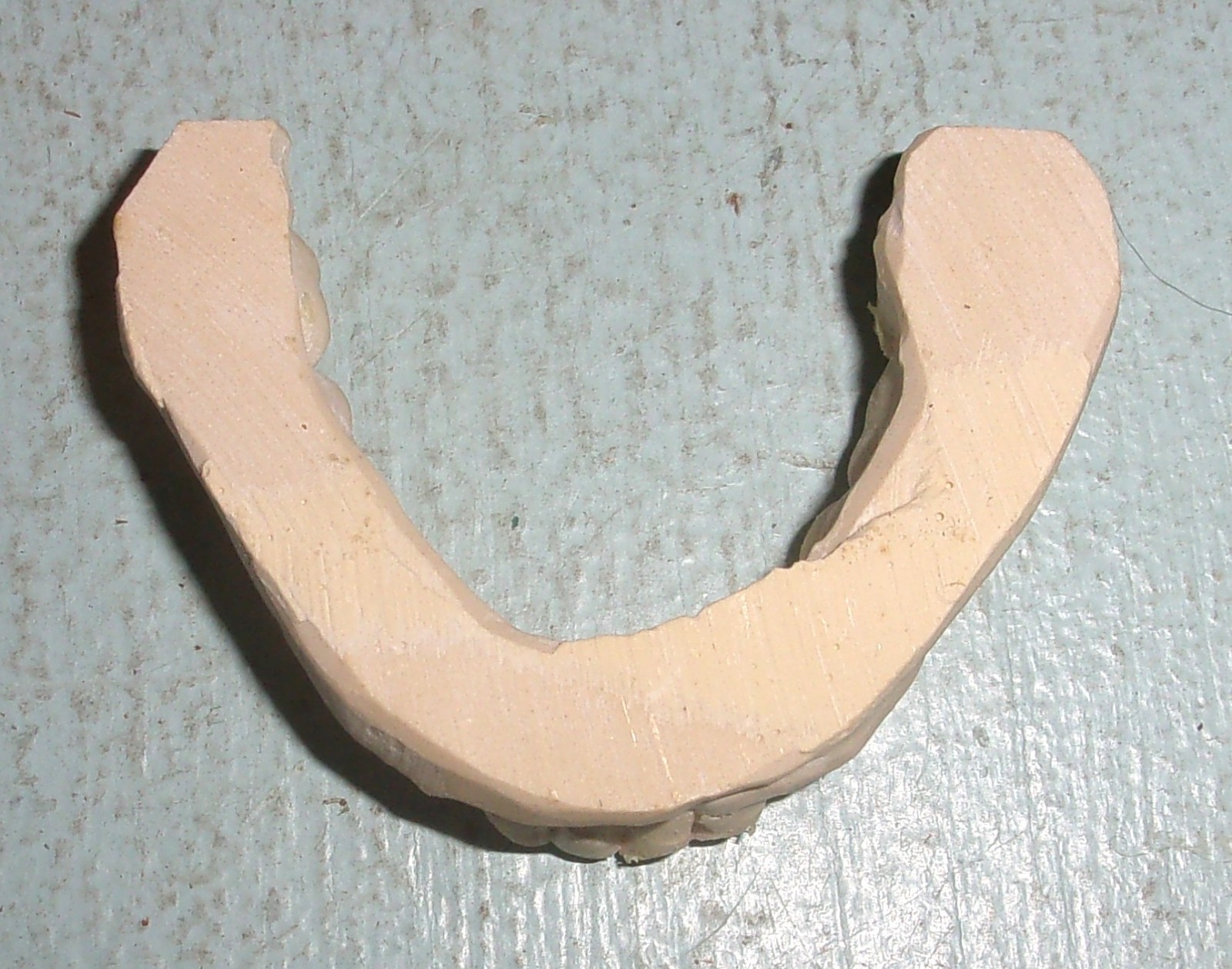 Plaster Lower Jaw Denture Cast for False Teeth Prop Creepy Decor