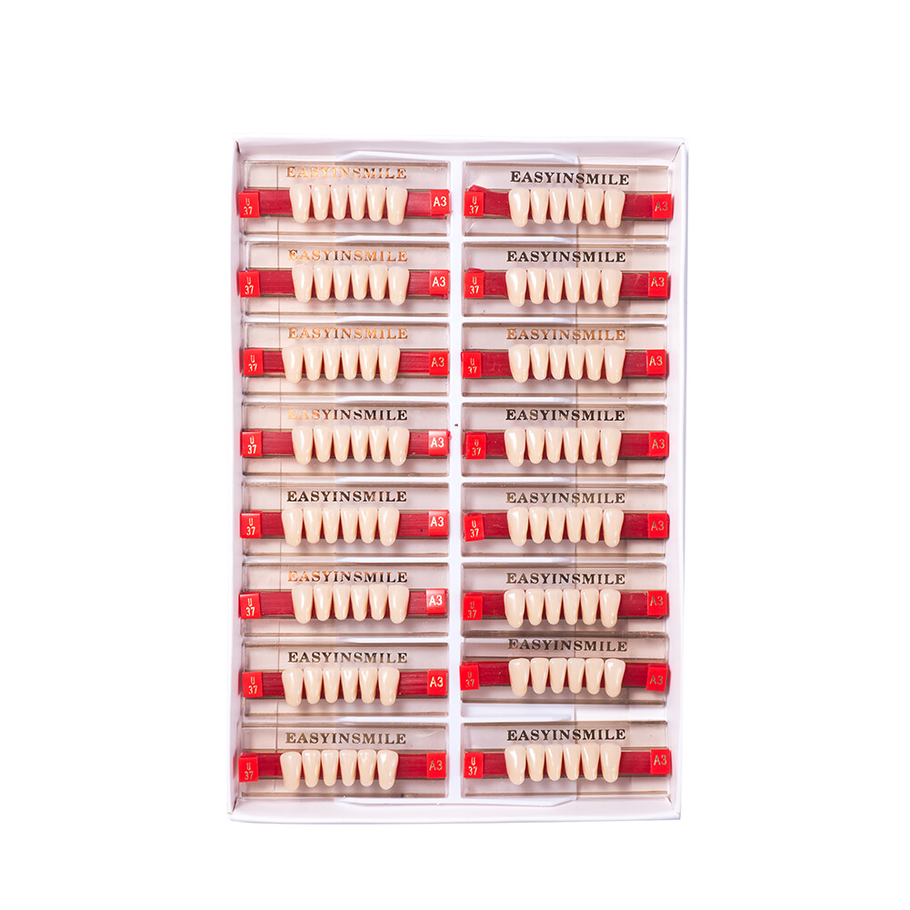 Dental Resin Teeth Synthetic Acrylic False Teeth Big Size Shape A1 A2 A3