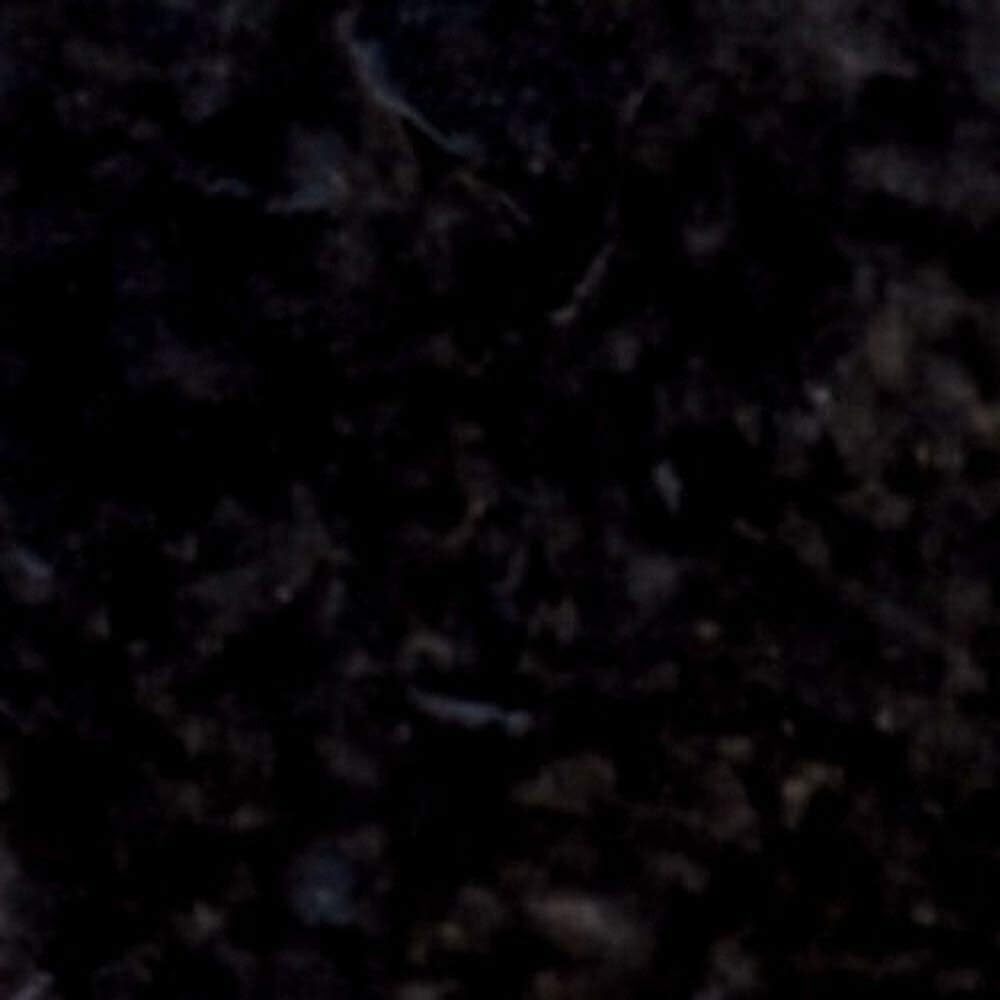 Water-Based Concrete Stain Walttools 1 QUART Pro-Grade, Eco-Friendly (Black)