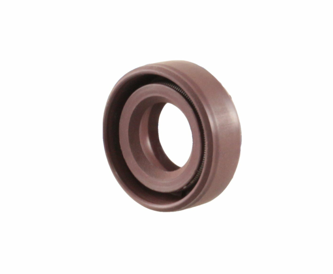 EAI 10x20x7mm FPM/FKM Oil Shaft Rotary Seal w/ Stainless Steel Spring Dbl Lip