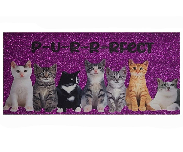 Style Choice * Cat Kitten * 3 Year Pocket Calendar Planner 2025-2027 w Notepad