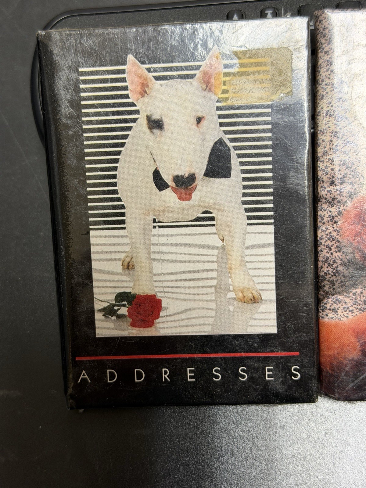 Mini Address Books-Lot Of 3-Autumn Rose By Webway 1980’s-NOS-California Raisins