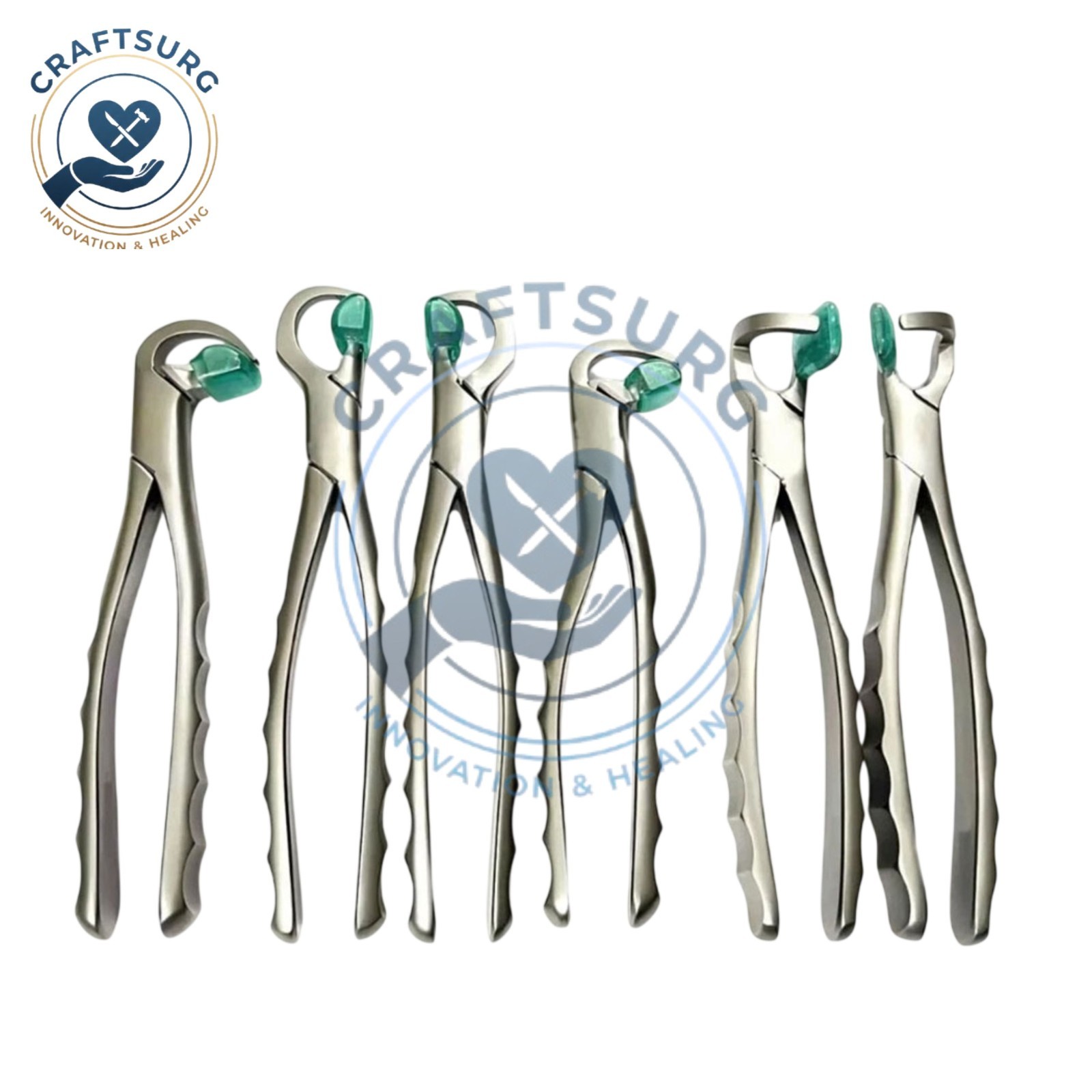 Dental Extraction Forceps Standard Series Set of 4 Pcs + 2 pcs Molar Series Set