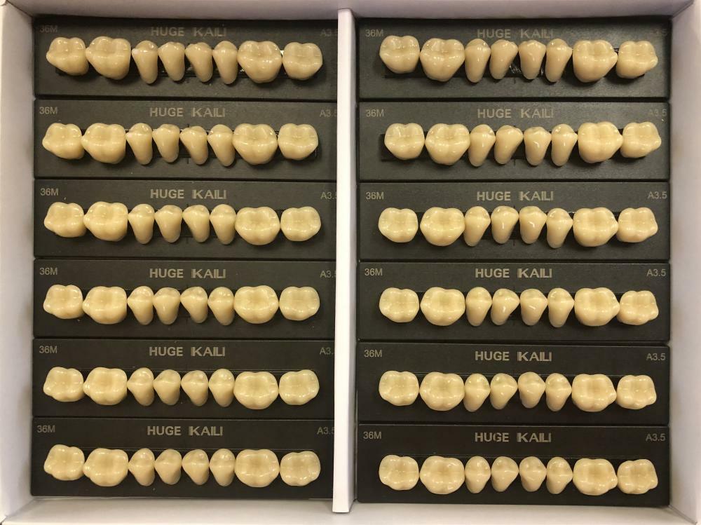 HUGE KAILI Synthetic Polymer False Teeth Lower Posterior SZ36M Full Box 12sheets