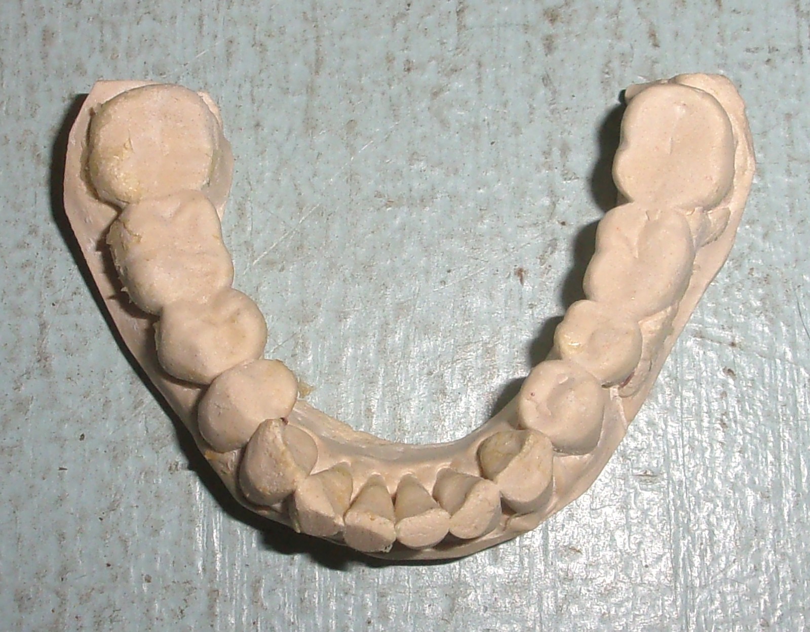 Plaster Lower Jaw Denture Cast for False Teeth Prop Creepy Decor