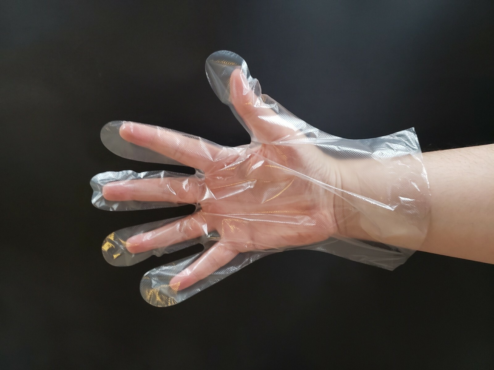 2000 Count – Clear PE Poly Food Service Gloves Plastic Latex Free Powder Free